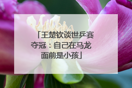王楚钦谈世乒赛夺冠：自己在马龙面前是小孩
