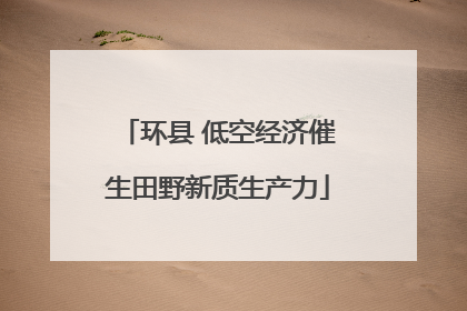 环县 低空经济催生田野新质生产力
