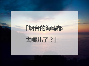烟台的海鸥都去哪儿了？