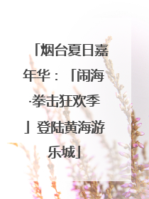 烟台夏日嘉年华：「闹海·拳击狂欢季」登陆黄海游乐城