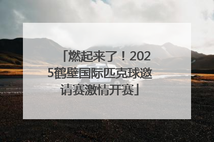 燃起来了！2025鹤壁国际匹克球邀请赛激情开赛