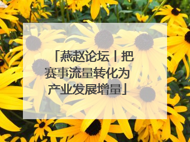 燕赵论坛丨把赛事流量转化为产业发展增量