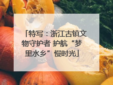 特写：浙江古镇文物守护者 护航“梦里水乡”慢时光