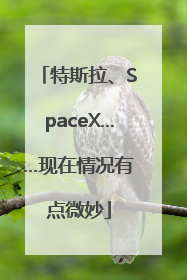 特斯拉、SpaceX……现在情况有点微妙