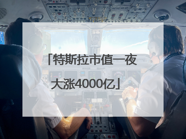 特斯拉市值一夜大涨4000亿
