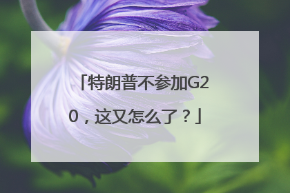 特朗普不参加G20，这又怎么了？