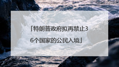 特朗普政府拟再禁止36个国家的公民入境