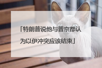 特朗普说他与普京都认为以伊冲突应该结束