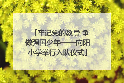 牢记党的教导 争做强国少年——向阳小学举行入队仪式