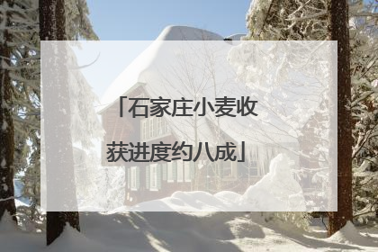 石家庄小麦收获进度约八成