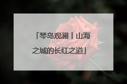 琴岛观澜丨山海之城的长红之道