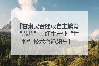 甘肃灵台建成自主繁育“芯片”：红牛产业“性控”技术弯道超车