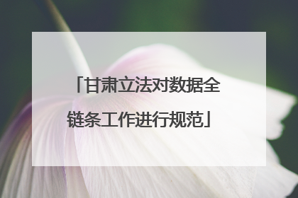 甘肃立法对数据全链条工作进行规范