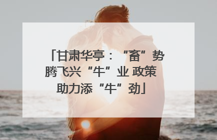甘肃华亭：“畜”势腾飞兴“牛”业 政策助力添“牛”劲