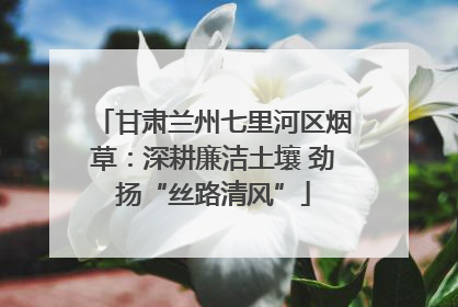 甘肃兰州七里河区烟草：深耕廉洁土壤 劲扬“丝路清风”