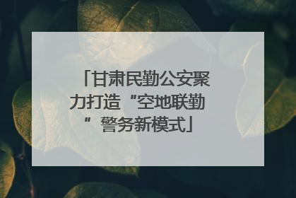 甘肃民勤公安聚力打造“空地联勤”警务新模式