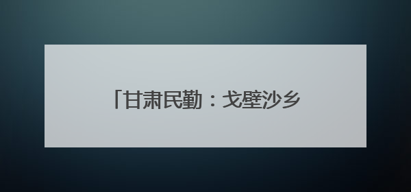 甘肃民勤：戈壁沙乡孕育“甘味”领头羊