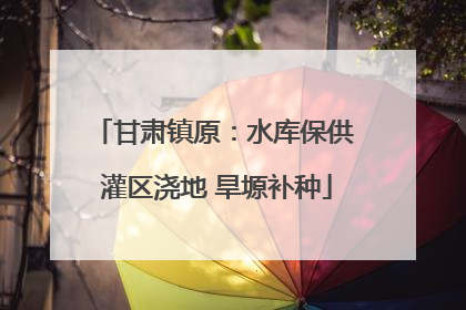 甘肃镇原：水库保供 灌区浇地 旱塬补种