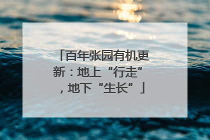 百年张园有机更新：地上“行走”，地下“生长”