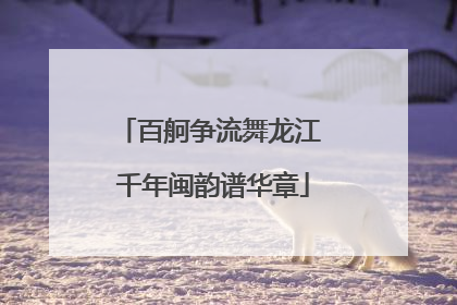 百舸争流舞龙江 千年闽韵谱华章