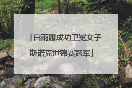 白雨露成功卫冕女子斯诺克世锦赛冠军
