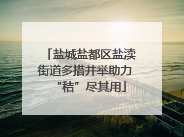 盐城盐都区盐渎街道多措并举助力“秸”尽其用