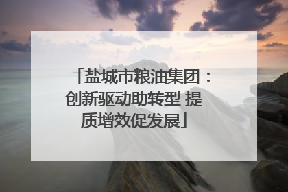 盐城市粮油集团：创新驱动助转型 提质增效促发展