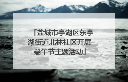 盐城市亭湖区东亭湖街道北林社区开展端午节主题活动