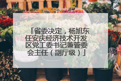 省委决定，杨旭东任安庆经济技术开发区党工委书记兼管委会主任（副厅级）