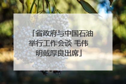 省政府与中国石油举行工作会谈 毛伟明戴厚良出席