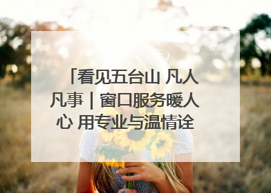 看见五台山 凡人凡事｜窗口服务暖人心 用专业与温情诠释责任担当