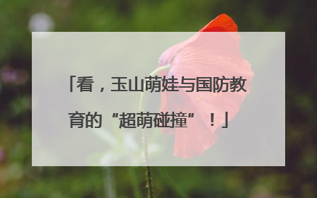 看，玉山萌娃与国防教育的“超萌碰撞”！