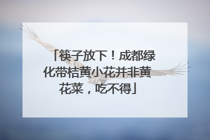 筷子放下！成都绿化带桔黄小花并非黄花菜，吃不得