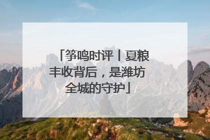 筝鸣时评丨夏粮丰收背后，是潍坊全城的守护