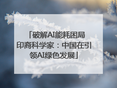 破解AI能耗困局 印裔科学家：中国在引领AI绿色发展