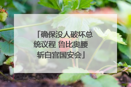 确保没人破坏总统议程 鲁比奥腰斩白宫国安会