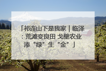 祁连山下是我家｜临泽：荒滩变良田 戈壁农业添“绿”生“金”