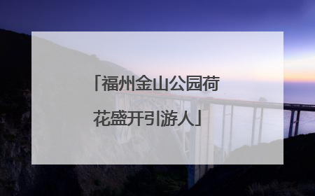 福州金山公园荷花盛开引游人