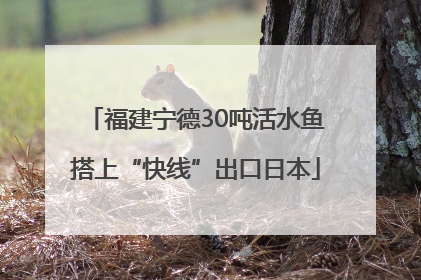 福建宁德30吨活水鱼搭上“快线”出口日本