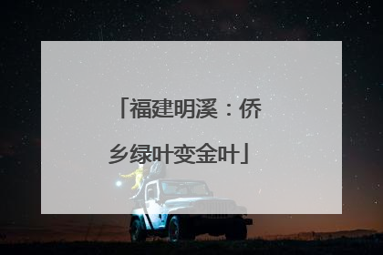 福建明溪：侨乡绿叶变金叶