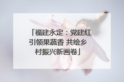 福建永定：党建红引领果蔬香 共绘乡村振兴新画卷