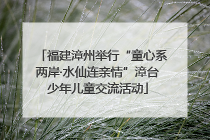 福建漳州举行“童心系两岸·水仙连亲情”漳台少年儿童交流活动