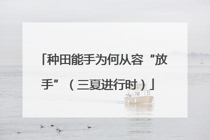 种田能手为何从容“放手”（三夏进行时）