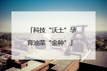科技“沃土”孕育油菜“金种”