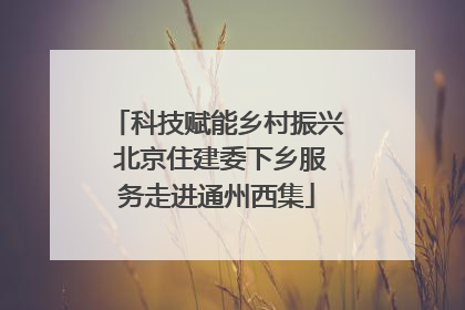 科技赋能乡村振兴 北京住建委下乡服务走进通州西集