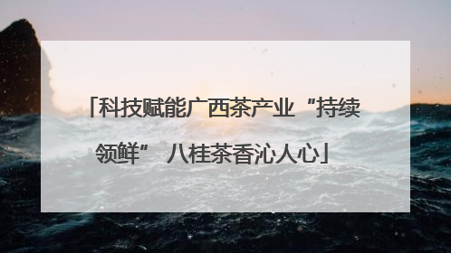 科技赋能广西茶产业“持续领鲜” 八桂茶香沁人心