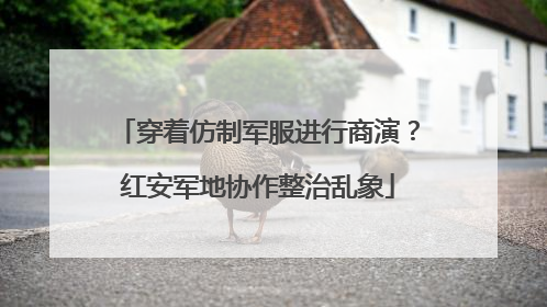 穿着仿制军服进行商演？红安军地协作整治乱象