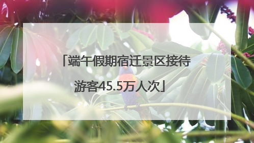端午假期宿迁景区接待游客45.5万人次