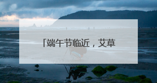 端午节临近，艾草花束热销，寓意“高中”香包大受欢迎