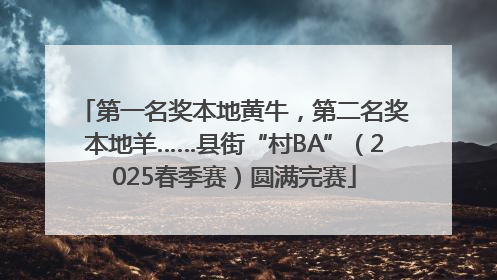 第一名奖本地黄牛，第二名奖本地羊……县街“村BA”（2025春季赛）圆满完赛